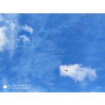 Zdjęcia użytkowników Xiaomi Mi MIX 2S