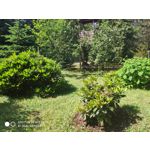 Zdjęcia użytkowników Xiaomi Mi MIX 2S