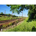 Zdjęcia użytkowników Xiaomi Mi MIX 2S