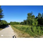 Zdjęcia użytkowników Xiaomi Mi MIX 2S