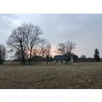 ZDJĘCIA Z TEGO TELEFONU