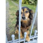 ZDJĘCIA Z TEGO TELEFONU