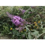 ZDJĘCIA Z TEGO TELEFONU