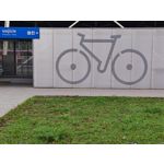 Zdjęcia użytkowników Xiaomi Poco F2 Pro