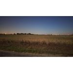 Zdjęcia użytkowników Xiaomi Pocophone F1 Zdjęcia użytkowników Xiaomi Pocophone F1