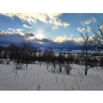 Zdjęcia użytkowników Xiaomi Pocophone F1 Zdjęcia użytkowników Xiaomi Pocophone F1