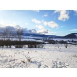 Zdjęcia użytkowników Xiaomi Pocophone F1 Zdjęcia użytkowników Xiaomi Pocophone F1