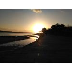 Zdjęcia użytkowników Xiaomi Redmi 3S