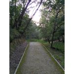 Zdjęcia użytkowników Xiaomi Redmi 3S