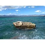 Zdjęcia użytkowników Xiaomi Redmi 3S