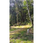 Zdjęcia użytkowników Xiaomi Redmi 3S