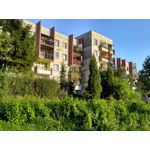 Zdjęcia użytkowników Xiaomi Redmi 3S