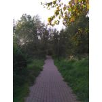 Zdjęcia użytkowników Xiaomi Redmi 3S