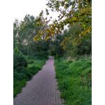 Zdjęcia użytkowników Xiaomi Redmi 3S