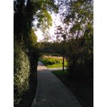 Zdjęcia użytkowników Xiaomi Redmi 3S