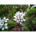 Zdjęcia użytkowników Xiaomi Redmi 4 High Edition Zdjęcia użytkowników Xiaomi Redmi 4 High Edition