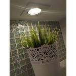 Zdjęcia użytkowników Xiaomi Redmi 4A