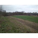 ZDJĘCIA Z TEGO TELEFONU