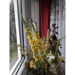 Zdjęcia użytkowników Xiaomi Redmi 4A