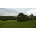 Zdjęcia użytkowników Xiaomi Redmi 4X