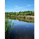 Zdjęcia użytkowników Xiaomi Redmi 4X