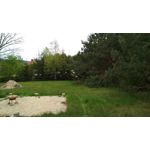 Zdjęcia użytkowników Xiaomi Redmi 4X