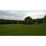 Zdjęcia użytkowników Xiaomi Redmi 4X