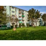 Zdjęcia użytkowników Xiaomi Redmi 4X