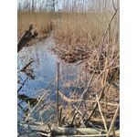 Zdjęcia użytkowników Xiaomi Redmi 4X