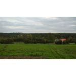 Zdjęcia użytkowników Xiaomi Redmi 4X