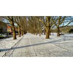 Zdjęcia użytkowników Xiaomi Redmi 4X