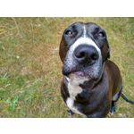 Zdjęcia użytkowników Xiaomi Redmi 5