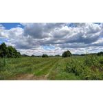 Zdjęcia użytkowników Xiaomi Redmi 5