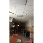 Zdjęcia użytkowników Xiaomi Redmi 6A