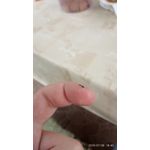 Zdjęcia użytkowników Xiaomi Redmi 6A