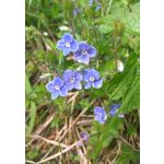 Zdjęcia użytkowników Xiaomi Redmi Note 3 Pro Zdjęcia użytkowników Xiaomi Redmi Note 3 Pro