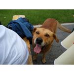 ZDJĘCIA Z TEGO TELEFONU