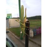 ZDJĘCIA Z TEGO TELEFONU