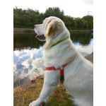 ZDJĘCIA Z TEGO TELEFONU