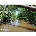 Zdjęcia użytkowników Xiaomi Redmi Note 5 AI Dual Camera Zdjęcia użytkowników Xiaomi Redmi Note 5 AI Dual Camera