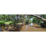 Zdjęcia użytkowników Xiaomi Redmi Note 5 AI Dual Camera Zdjęcia użytkowników Xiaomi Redmi Note 5 AI Dual Camera