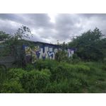 Zdjęcia użytkowników Xiaomi Redmi Note 5 AI Dual Camera Zdjęcia użytkowników Xiaomi Redmi Note 5 AI Dual Camera