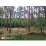 Zdjęcia użytkowników Xiaomi Redmi Note 5 AI Dual Camera Zdjęcia użytkowników Xiaomi Redmi Note 5 AI Dual Camera