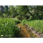 Zdjęcia użytkowników Xiaomi Redmi Note 5 AI Dual Camera Zdjęcia użytkowników Xiaomi Redmi Note 5 AI Dual Camera