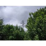 Zdjęcia użytkowników Xiaomi Redmi Note 5 AI Dual Camera Zdjęcia użytkowników Xiaomi Redmi Note 5 AI Dual Camera