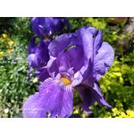 Zdjęcia użytkowników Xiaomi Redmi Note 5 AI Dual Camera Zdjęcia użytkowników Xiaomi Redmi Note 5 AI Dual Camera