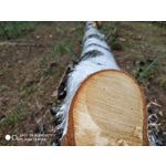 Zdjęcia użytkowników Xiaomi Redmi Note 5 AI Dual Camera Zdjęcia użytkowników Xiaomi Redmi Note 5 AI Dual Camera