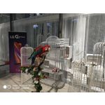 Zdjęcia użytkowników Xiaomi Redmi Note 5 AI Dual Camera Zdjęcia użytkowników Xiaomi Redmi Note 5 AI Dual Camera