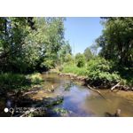 Zdjęcia użytkowników Xiaomi Redmi Note 5 AI Dual Camera Zdjęcia użytkowników Xiaomi Redmi Note 5 AI Dual Camera