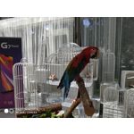 Zdjęcia użytkowników Xiaomi Redmi Note 5 AI Dual Camera Zdjęcia użytkowników Xiaomi Redmi Note 5 AI Dual Camera